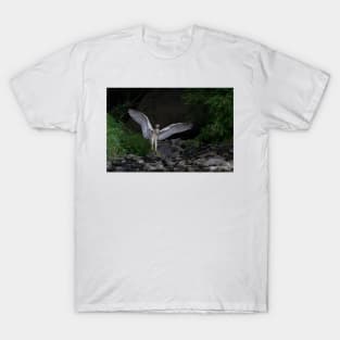 'Night Heron'...Superheron! or Superhero? T-Shirt